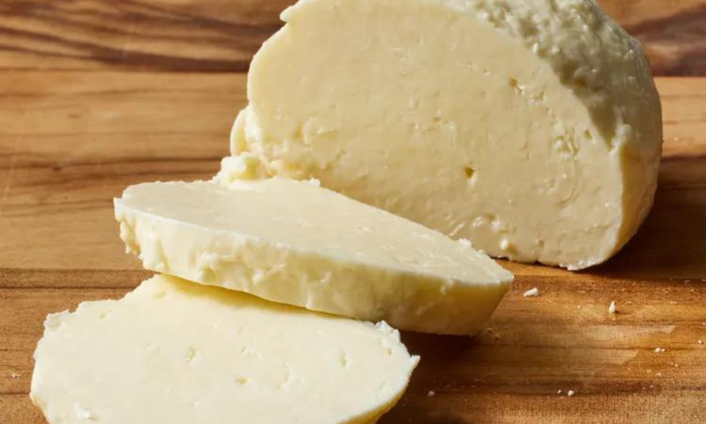 Home Made Mozzarella Cheese Recipe